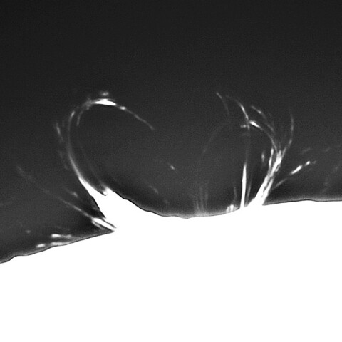 11月29の太陽➂（4294）