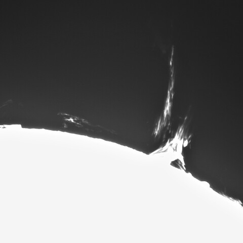 11月29の太陽①（東縁）