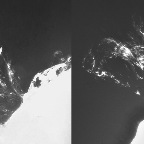 12月1の太陽②（X1.9フレア直後のコロナ質量放出　時間変化１）