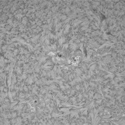 12月6の太陽②（4299）