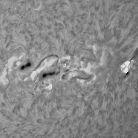 12月８の太陽（4298X1.1フレア）