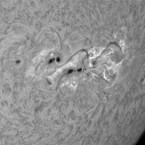 12月9の太陽（4296，4294，4298）