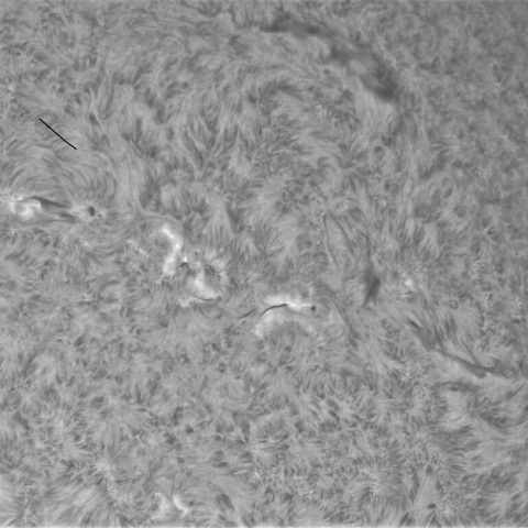 12月9の太陽①（4299）