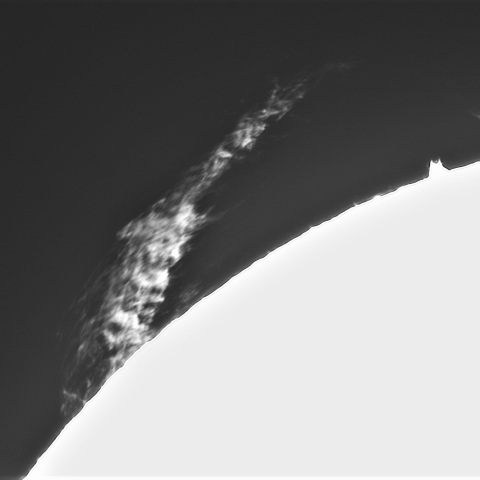 12月10の太陽①（プロミネンス南東縁）