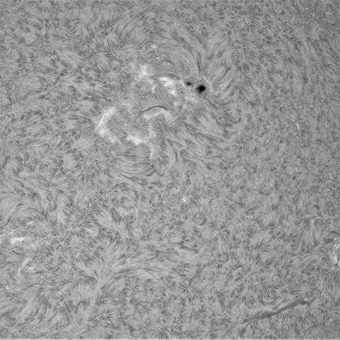 12月28日の太陽②（4317，4312，4316，4321）