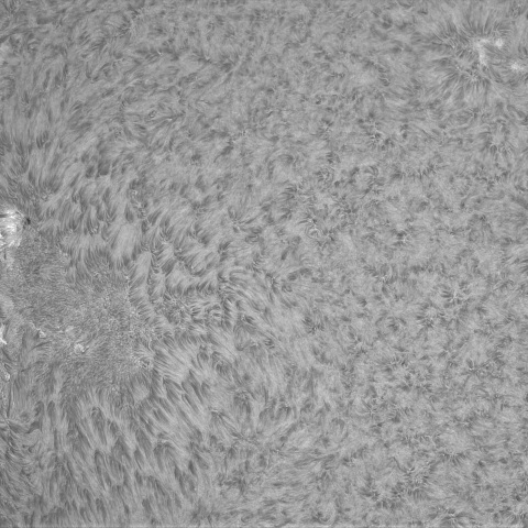 12月28日の太陽①（4323，4325，4319）