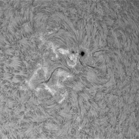 12月29日の太陽➂(4317)