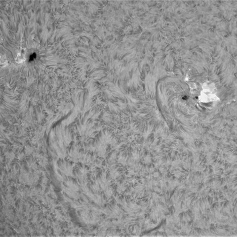 2026年　1月7の太陽②（4336，4334）