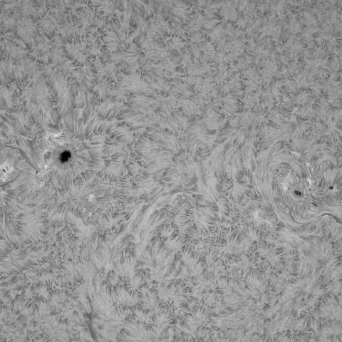 1月9の太陽①（4338，4336，4334）