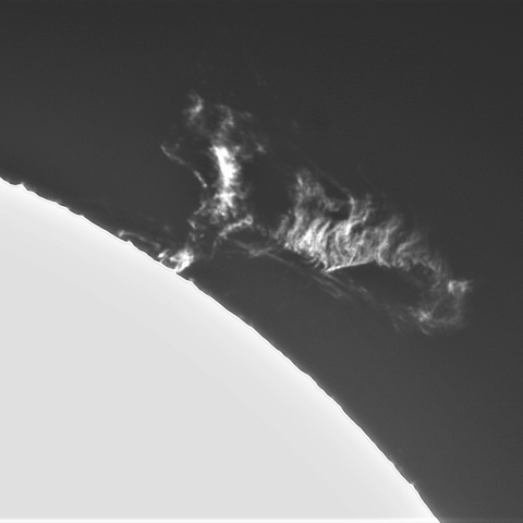 1月17の太陽➃（プロミネンス南西縁）