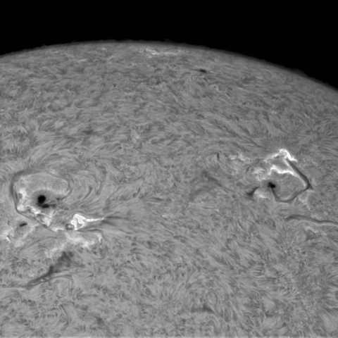 1月17の太陽①（4341，4342）