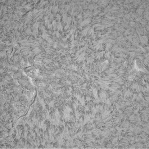 1月26の太陽②（4355，4349）