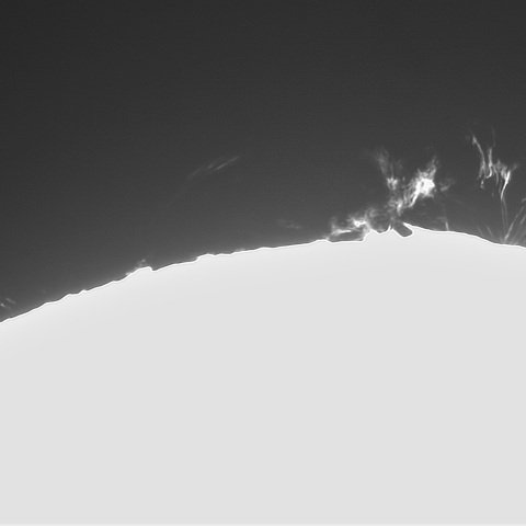 1月26の太陽①（プロミネンス西縁）