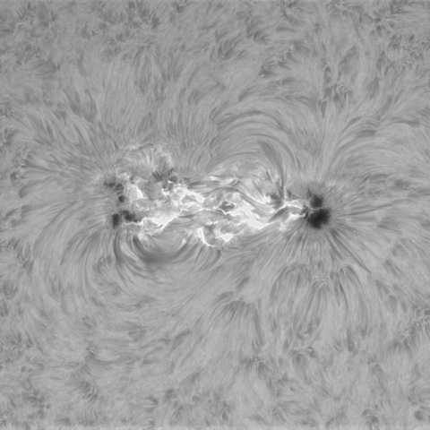 2月3の太陽①（4366）