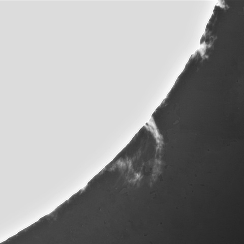 2月10の太陽②（プロミネンス南西縁）