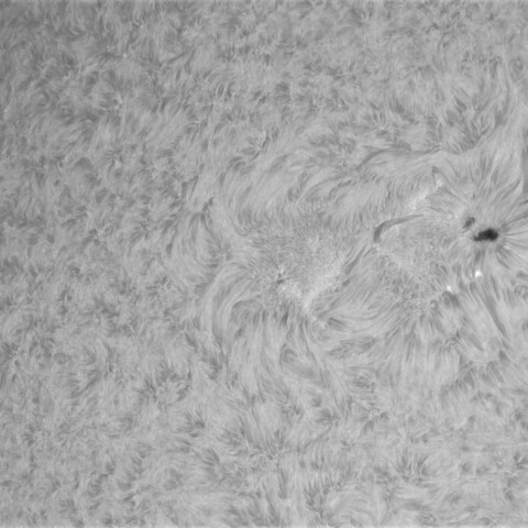 2月10の太陽①（4374，4373）