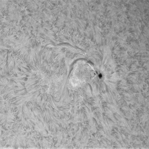 2月15の太陽➂(4373)