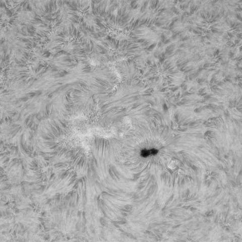 2月15の太陽②(4374)
