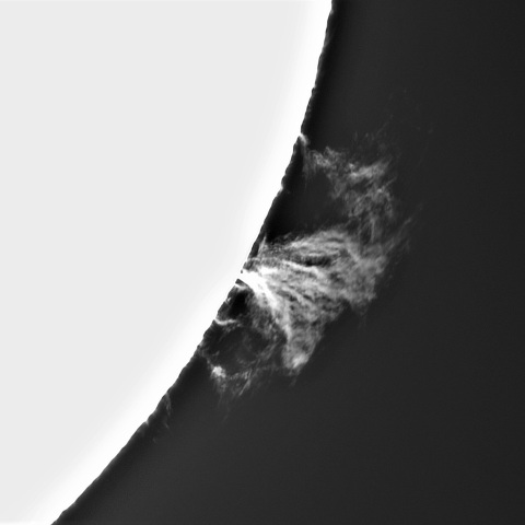 2月1８の太陽②（プロミネンス南西縁）