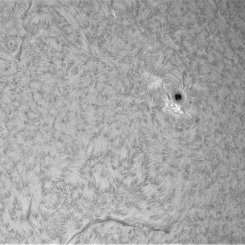 2月1８の太陽①（4374）