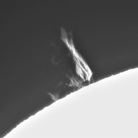 2月21の太陽①(プロミネンス北東縁)