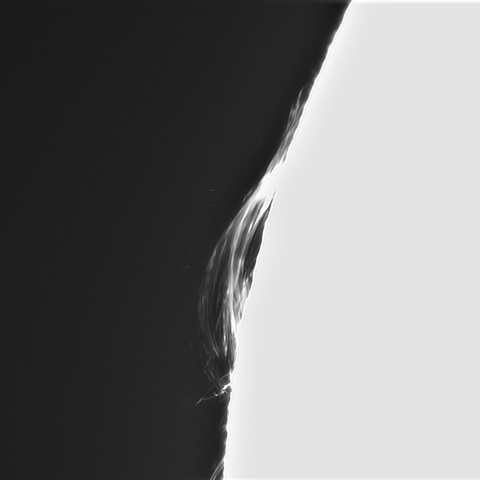 2月26の太陽①(プロミネンス北東縁)