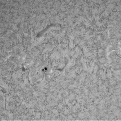 3月4日の太陽①(4384, 4381,4378)