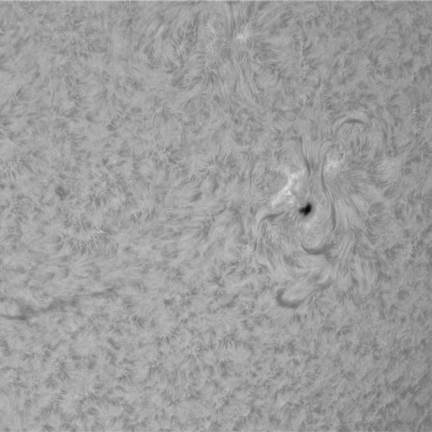 3月21日の太陽➂（4394）