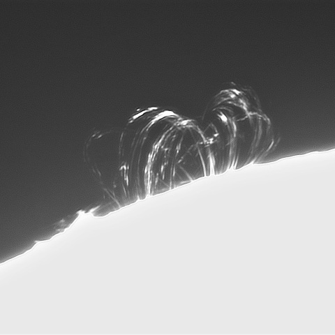 3月27日の太陽①（ポストフレアループ XLⅨ）