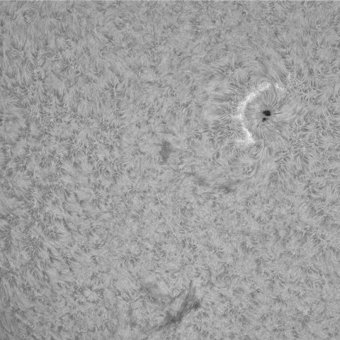 3月27日の太陽➂(4399)
