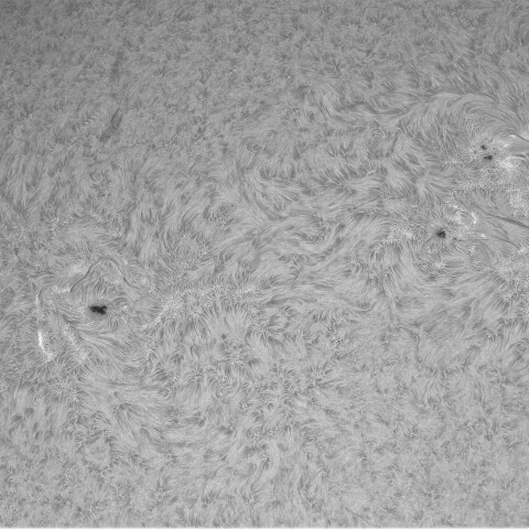 3月29日の太陽①（北半球）