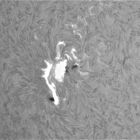 3月30日の太陽①(4405 X1.4フレア)