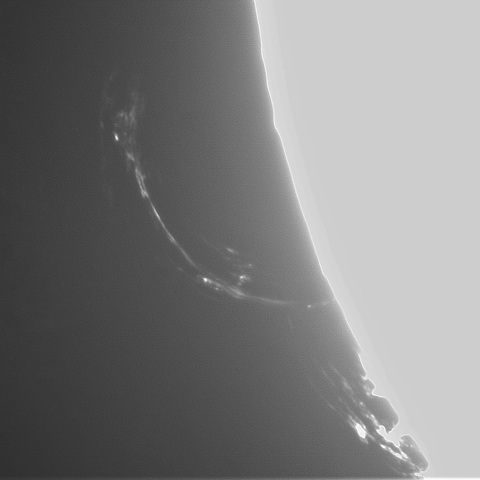 4月8日の太陽①（プロミネンス南東縁）