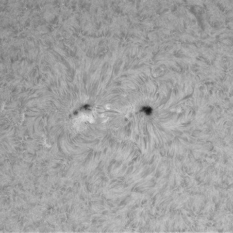 4月18日の太陽①（4419）