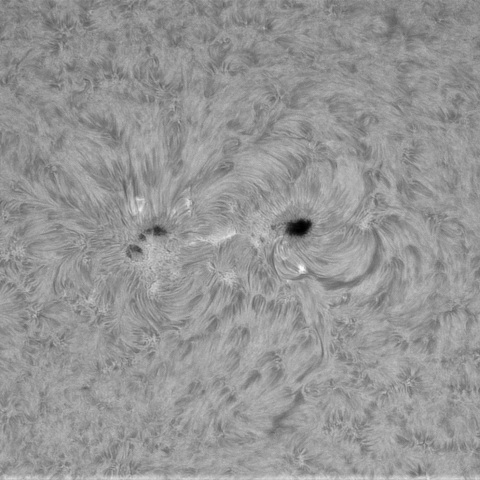 4月19日の太陽③（4419）
