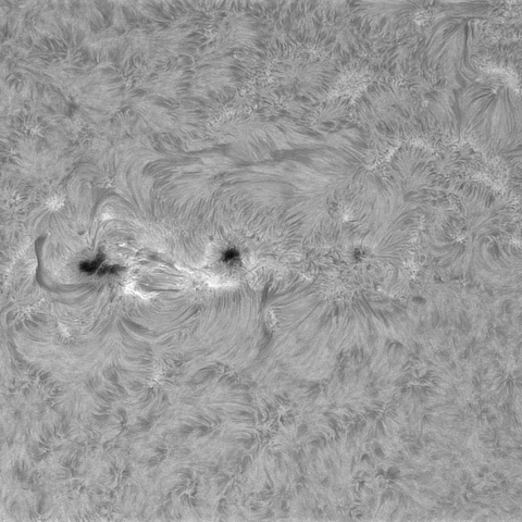 4月25日の太陽➃（4420）