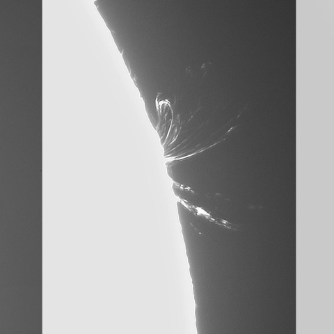 4月25日の太陽➁（ポストフレアループ L  4419 ）