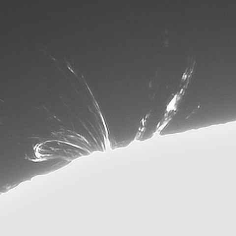 4月25日の太陽①（ポストフレアループ L  4419 ）