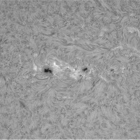 4月26日の太陽➁（4420 ）