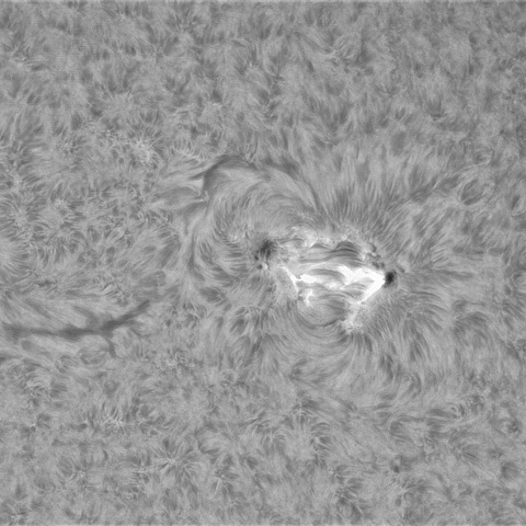 5月9日の太陽①（4432 ）