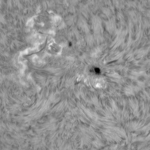 5月29日の太陽➁（4448，4449 ）