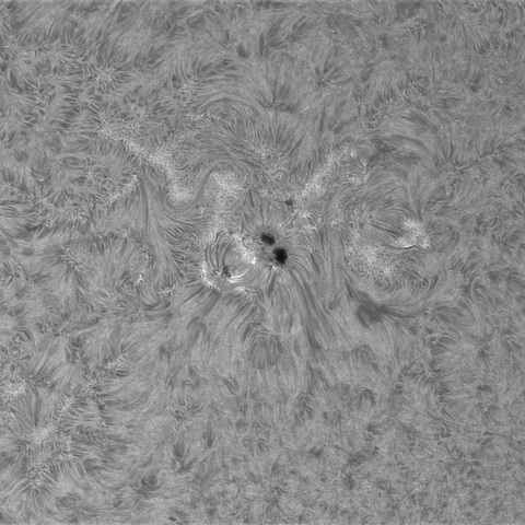 6月15日の太陽➁(4465 )