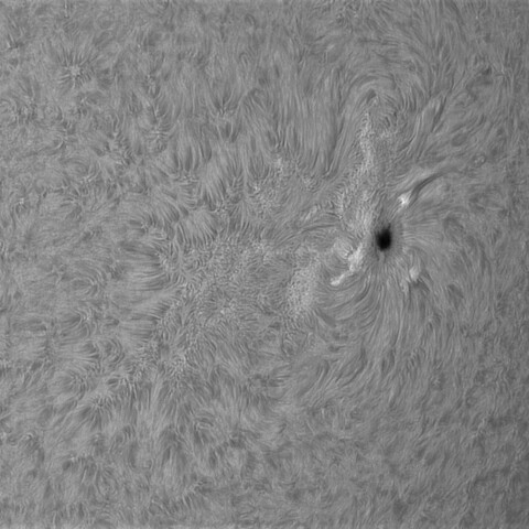 7月 14日の太陽➁(4482 )
