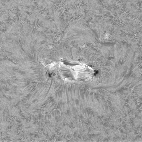 7月21日の太陽①(4493 )