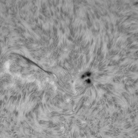 7月25日の太陽➁(4492 )