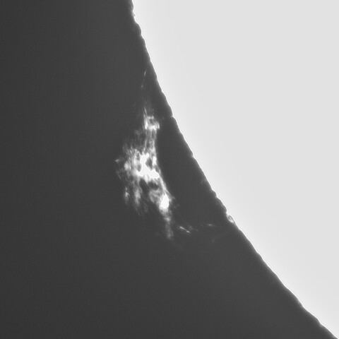 8月14日の太陽②（プロミネンス南東面 ）