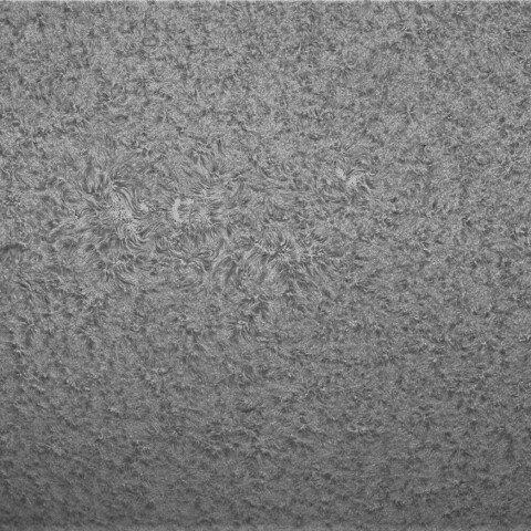 7月13日の太陽③