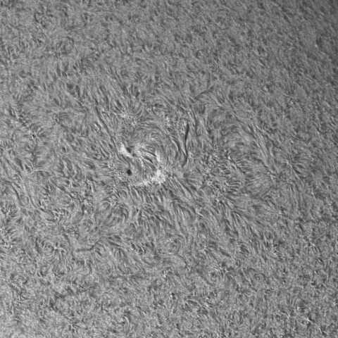 7月19日の太陽②