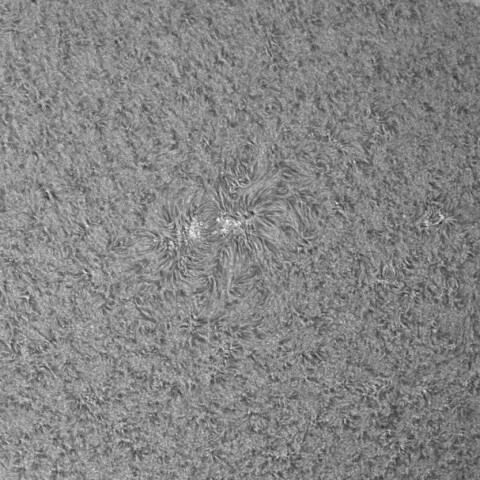 7月19日の太陽③