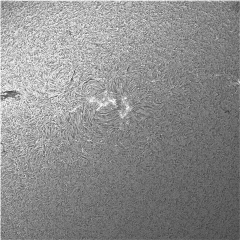 7月26日の太陽③